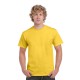 Men's Promotional T Shirts - Heavy Cotton Adult T-Shirt