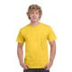 Heavy Cotton Adult T-Shirt