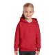 Heavy Blend Youth Hooded Sweatshirt