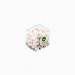 Cube 60G Mints