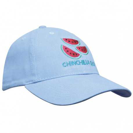 Brushed Heavy Cotton Youth Size Cap