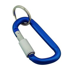 Carabiner Keyring