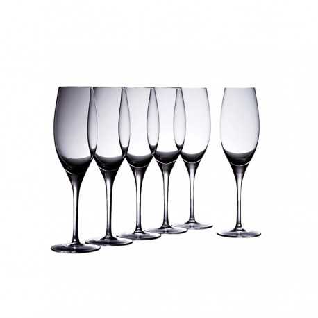 Printed Glasses - Vinoteca Flute 250ml Set of 6 Gift Boxed