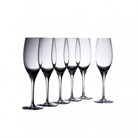 Vinoteca Flute 250ml Set of 6 Gift Boxed