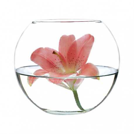 Novelties - Diamante Rose Bowl 16cm Gift Boxed