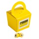 Promotional Lollies - Coloured Noodle Box Filled with Personalised Rock Candy 100G