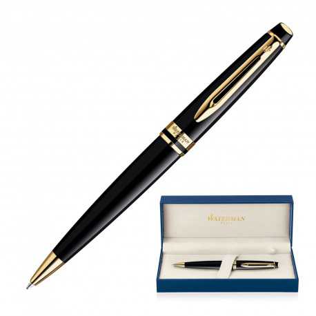 Waterman Expert Ballpoint Pen