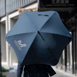 Folding Travel Umbrellas
