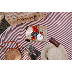 Picnic Rugs